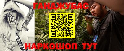 стаф Новокубанск