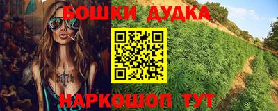 стаф Новодвинск