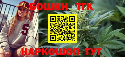 стаф Новодвинск