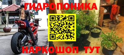 стаф Новодвинск