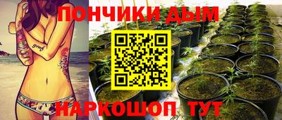 сатива Новозыбков