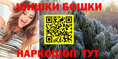 сатива Новозыбков