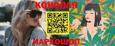 сатива Новозыбков