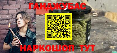 сатива Новозыбков