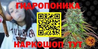 стаф Новокубанск