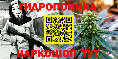 стаф Новокубанск