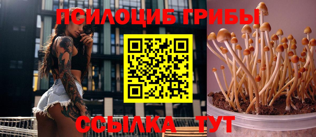Псилоцибиновые грибы ЛСД Пушкино